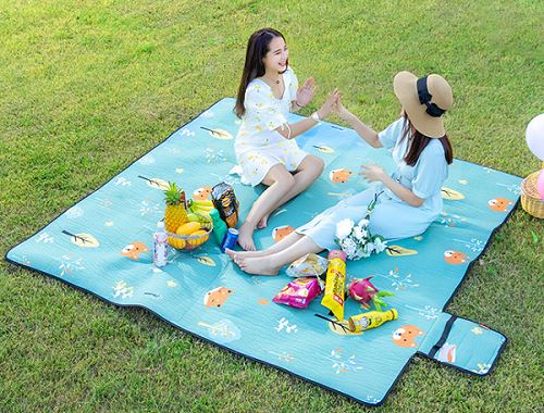 beautiful Picnic Camping Beach Mat a