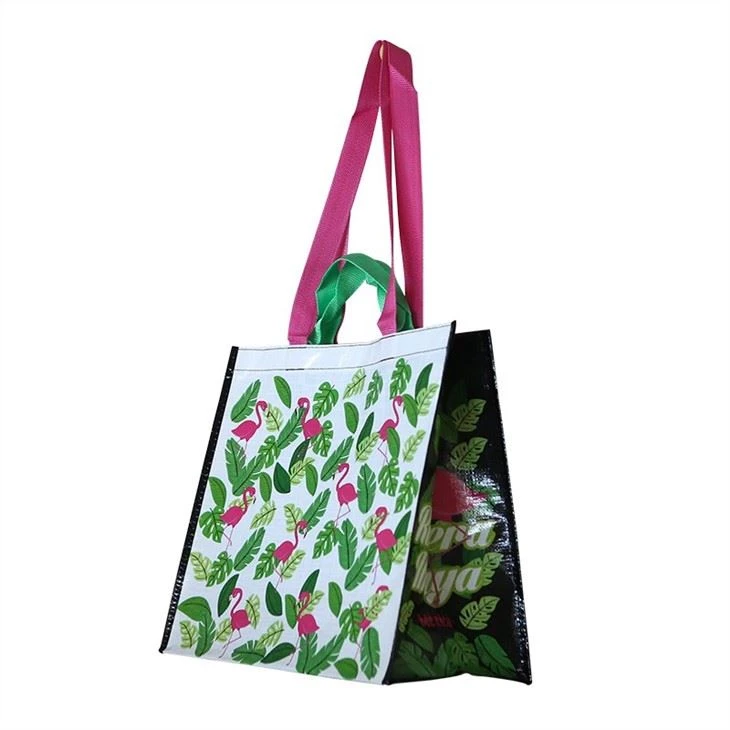 Eco friendly bag