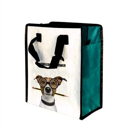Style laminated PP Woven Cooler sak